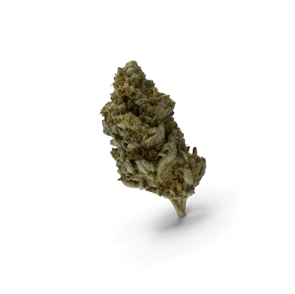 Zkittlez Cannabis Bud.H03 1